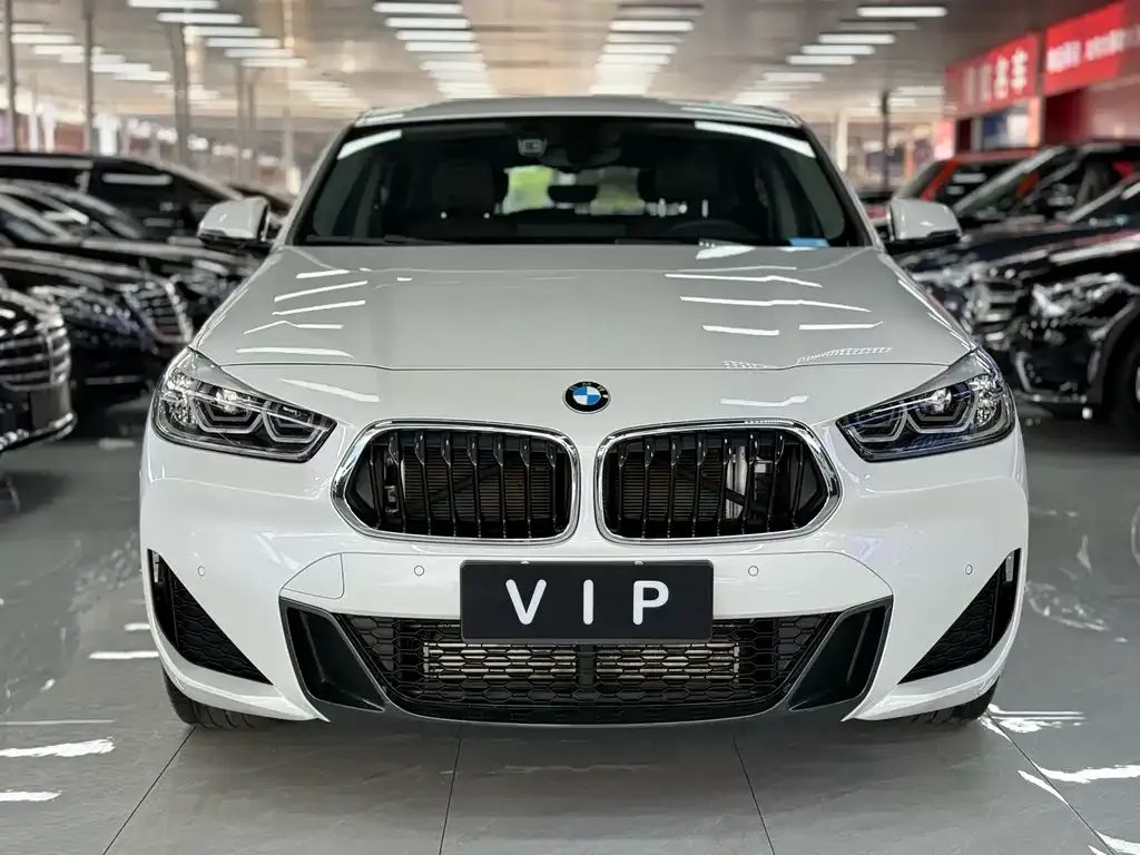 BMW X2 — фото 2