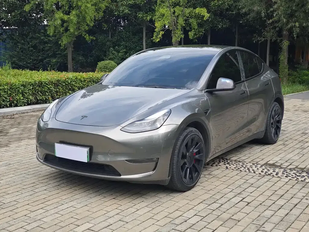Tesla Model Y — фото 1