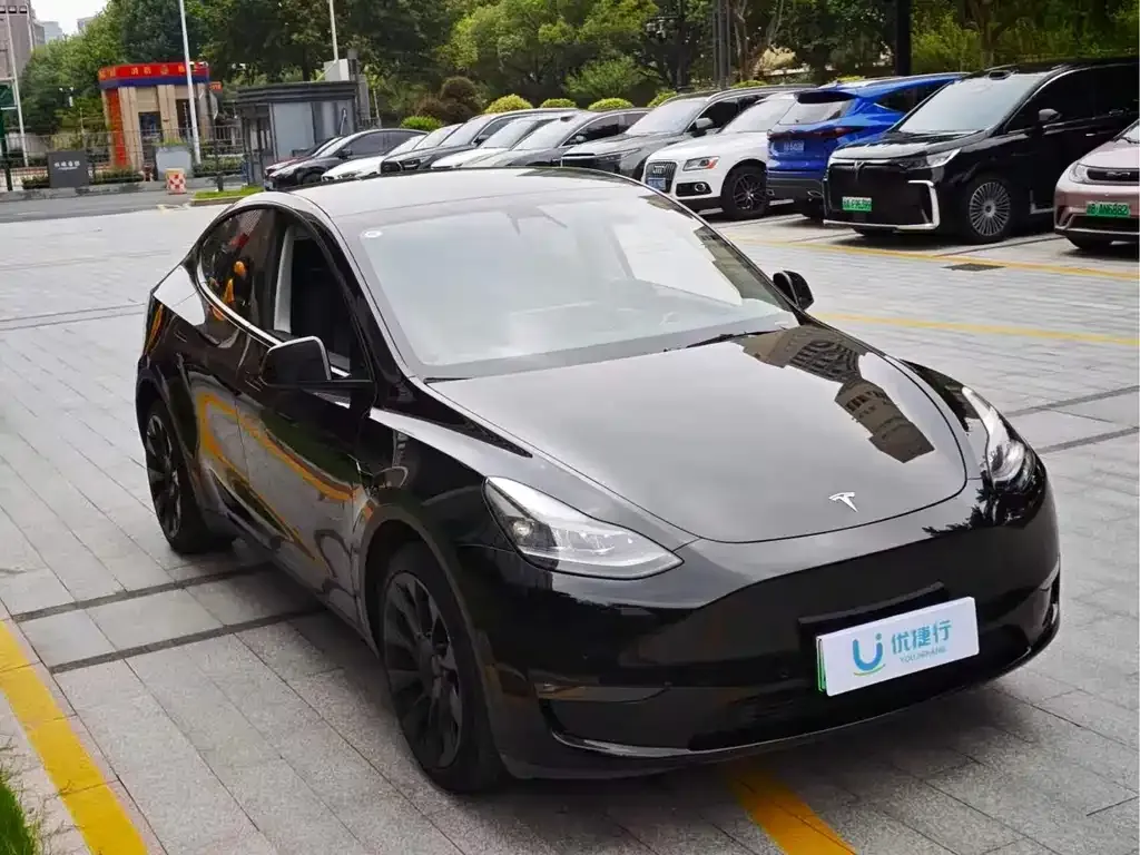 Tesla Model Y — фото 10