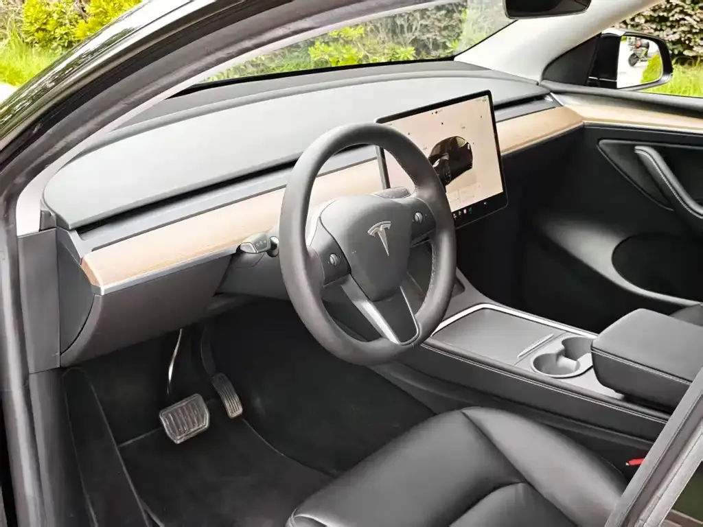 Tesla Model Y — фото 5