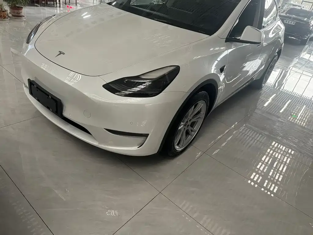 Tesla Model Y — фото 9