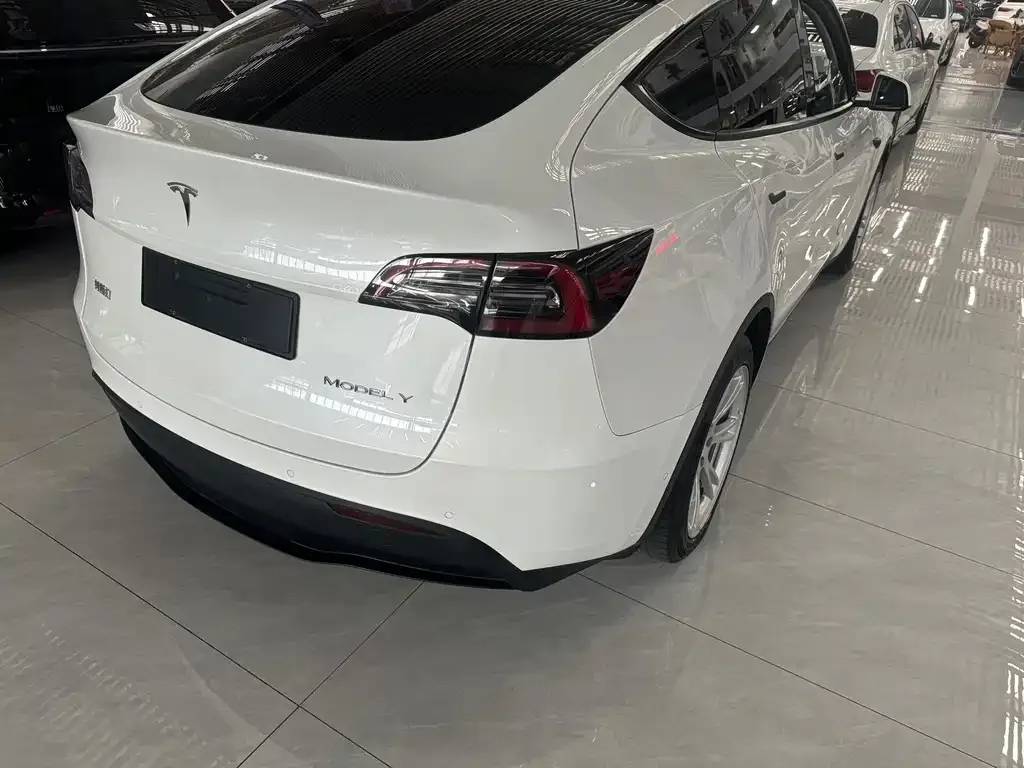 Tesla Model Y — фото 5