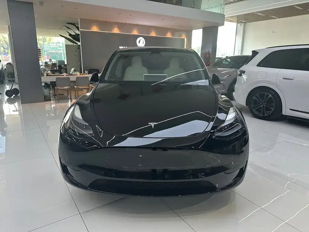 Tesla Model Y — фото 2