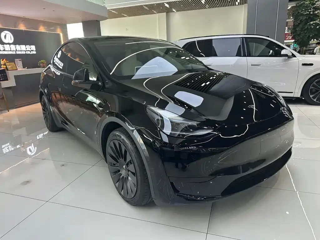 Tesla Model Y — фото 8