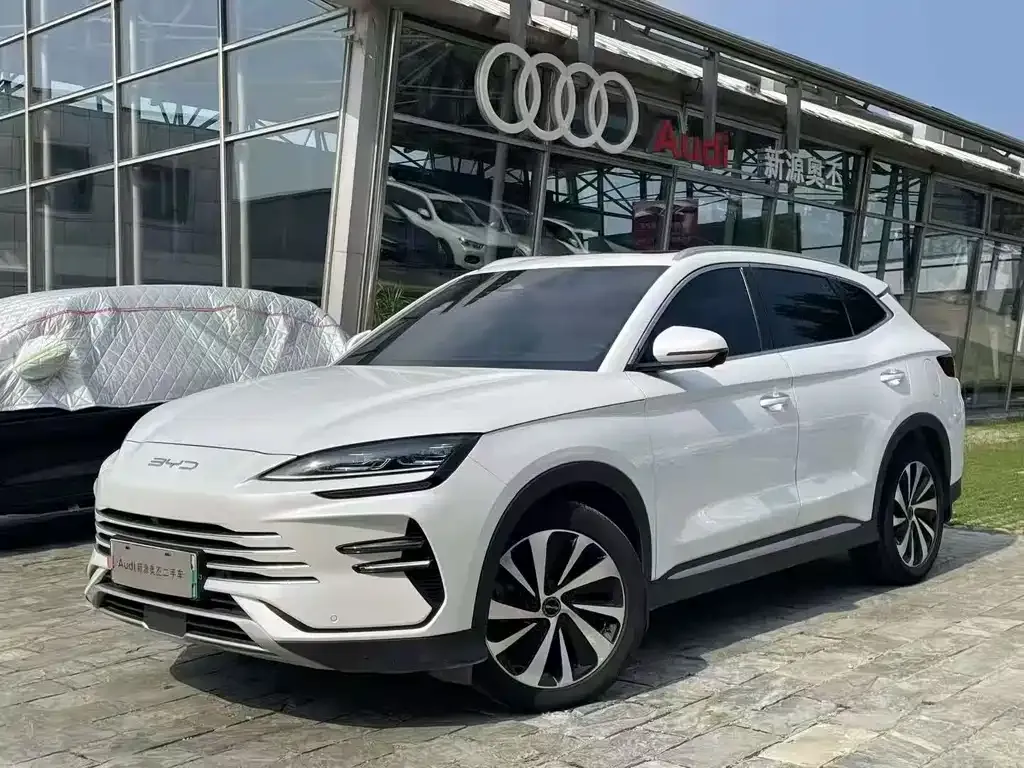 BYD PLUS New Energy — фото 1