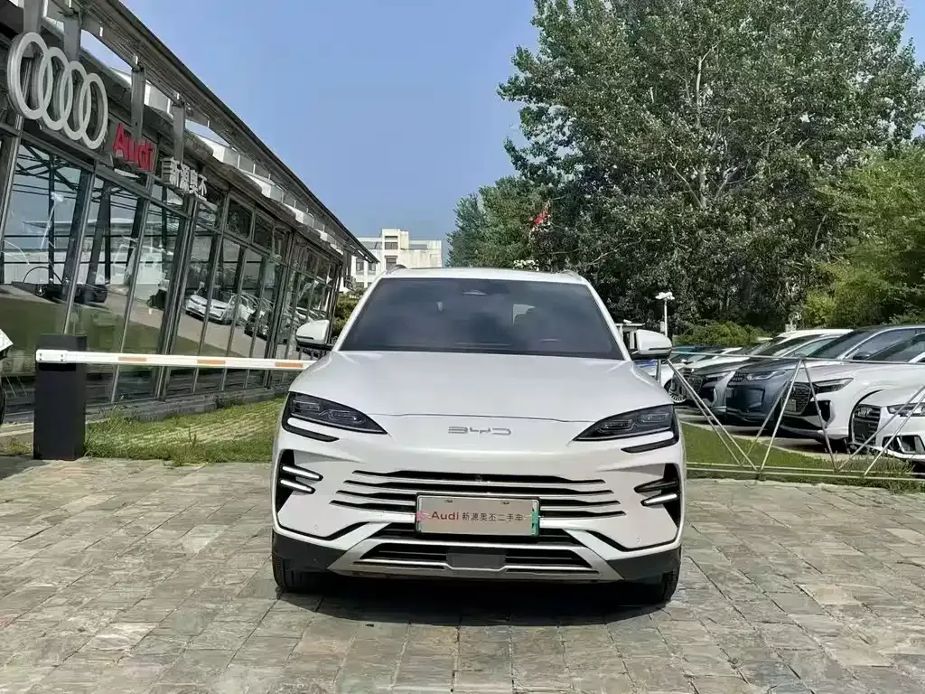BYD PLUS New Energy — фото 6