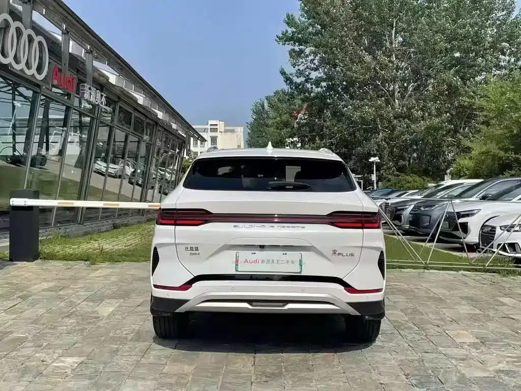 BYD PLUS New Energy — фото 9
