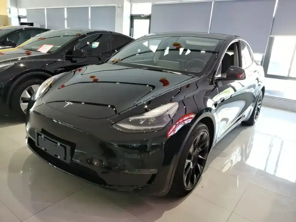 Tesla Model Y — фото 2