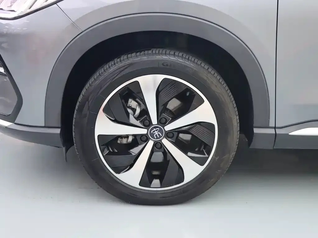 BYD PLUS New Energy — фото 10