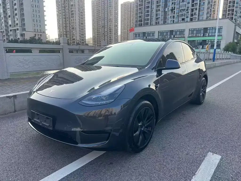 Tesla Model Y — фото 1