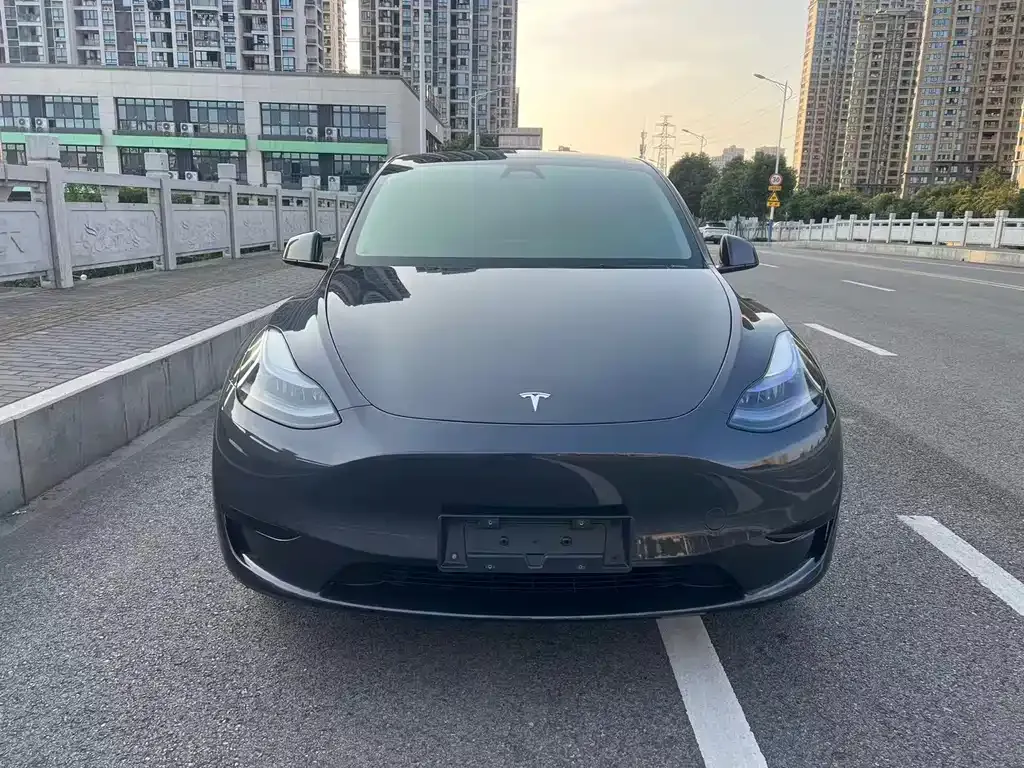 Tesla Model Y — фото 9