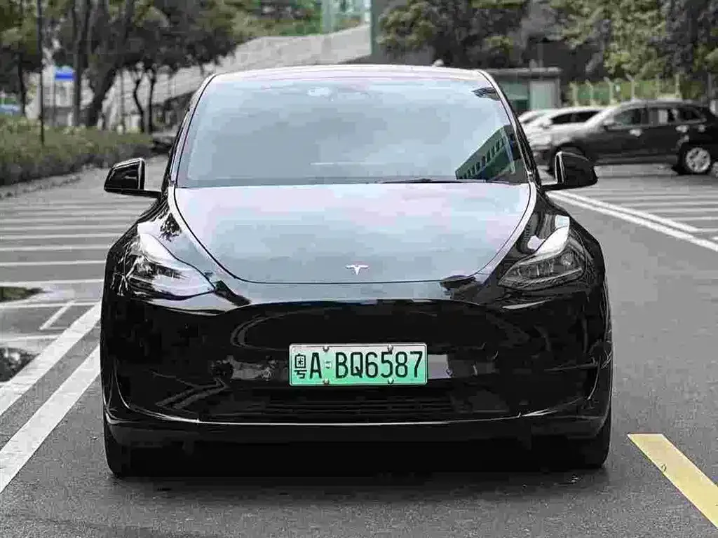 Tesla Model Y — фото 1