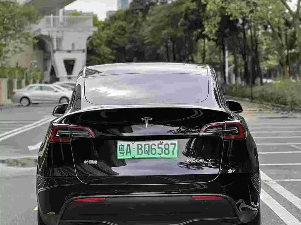 Tesla Model Y — фото 2