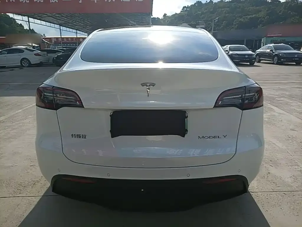 Tesla Model Y — фото 8