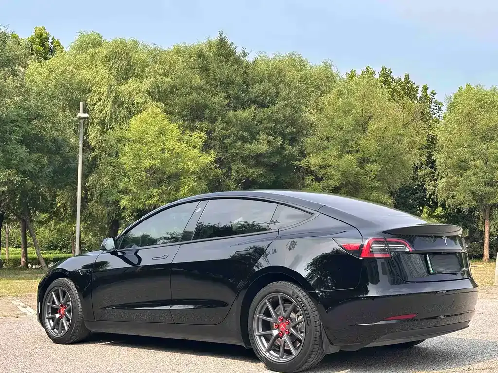Tesla Model 3 — фото 9