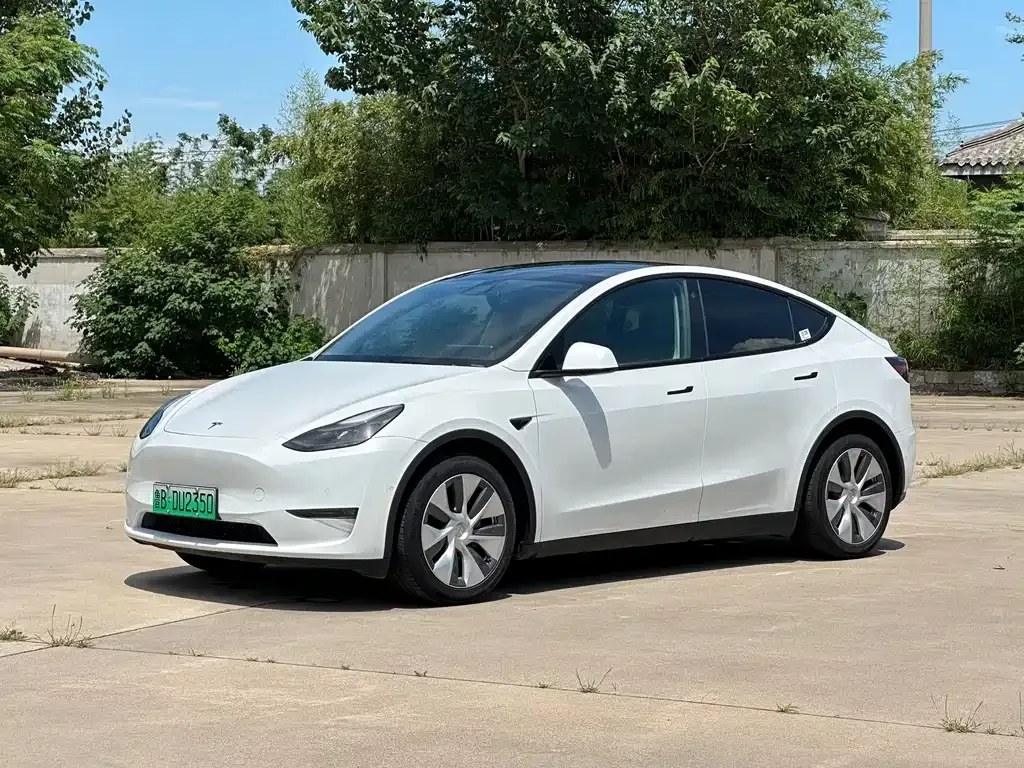 Tesla Model Y — фото 1