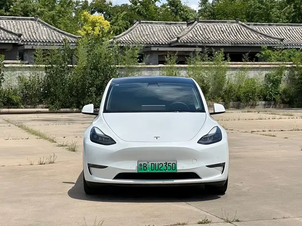 Tesla Model Y — фото 9