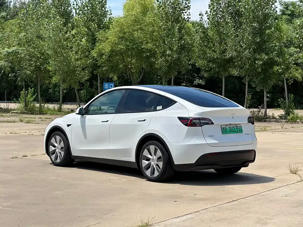 Tesla Model Y — фото 8