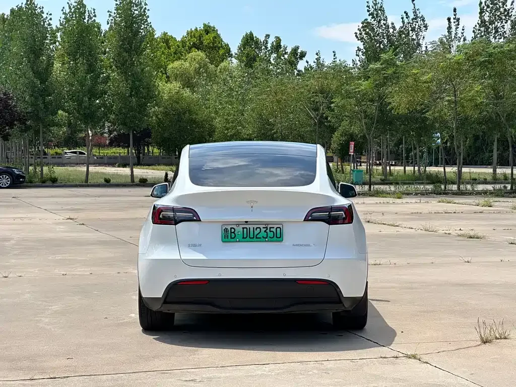 Tesla Model Y — фото 7