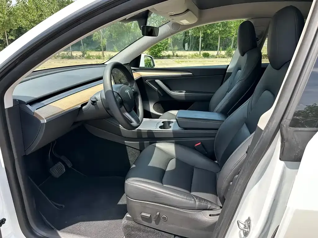 Tesla Model Y — фото 6