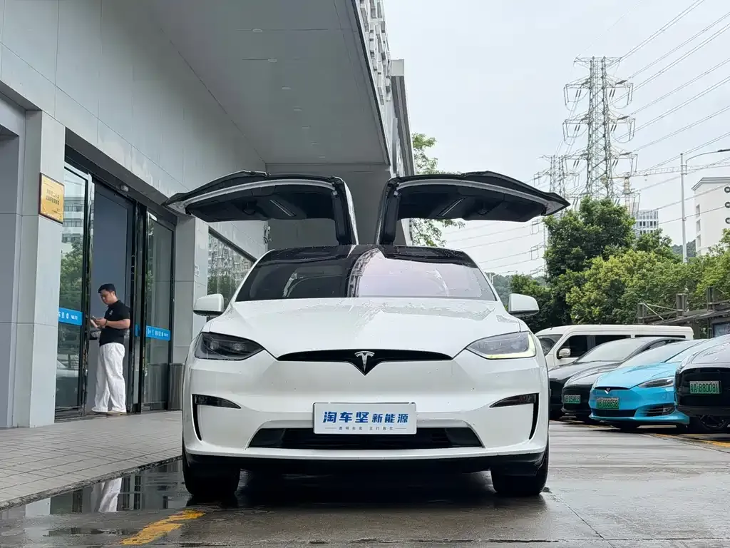 Tesla Model X — фото 8