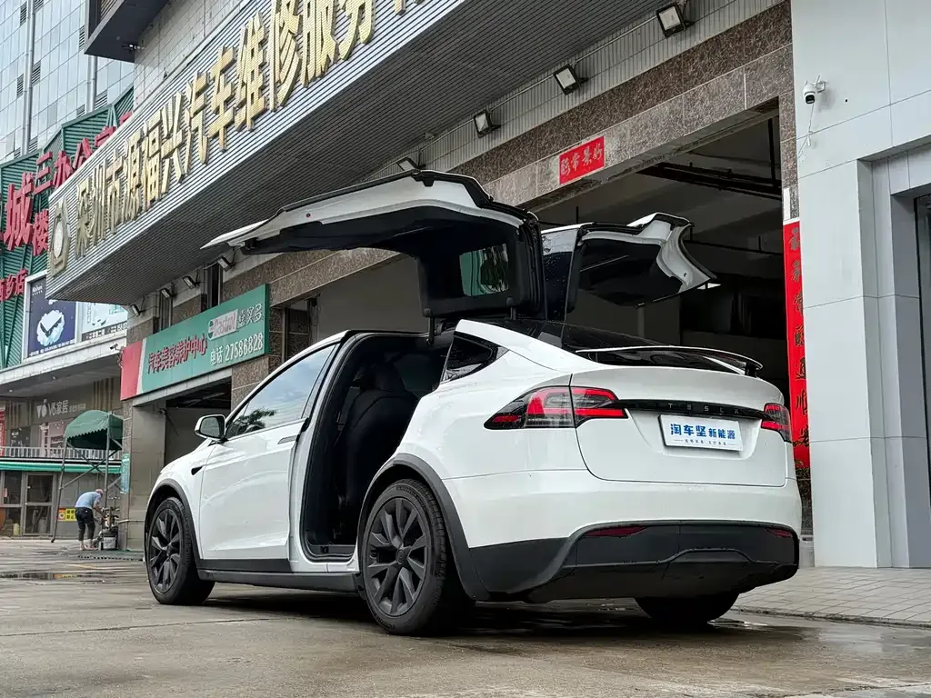 Tesla Model X — фото 6