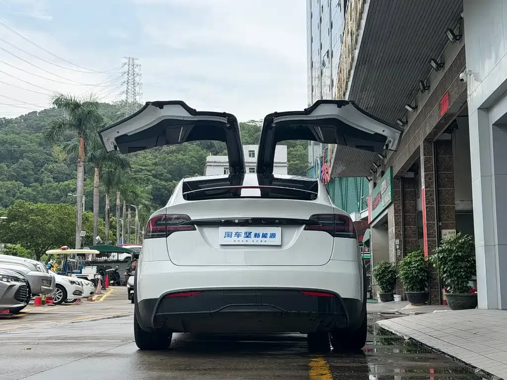 Tesla Model X — фото 10
