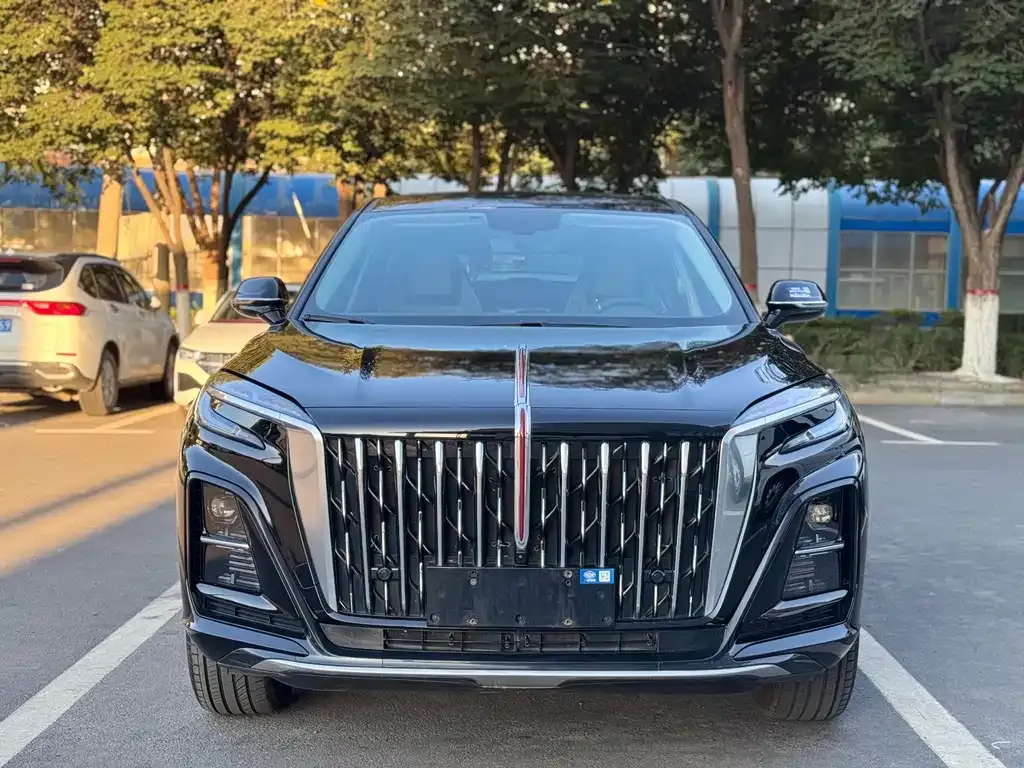 Hongqi HS3 — фото 2