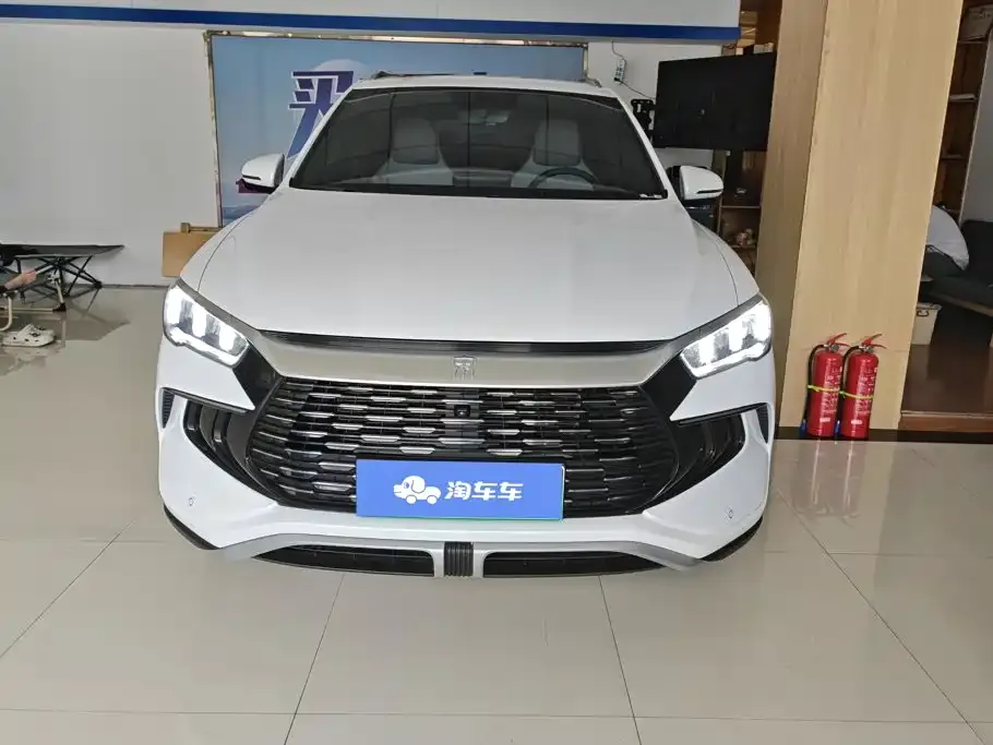BYD Pro New Energy — фото 4