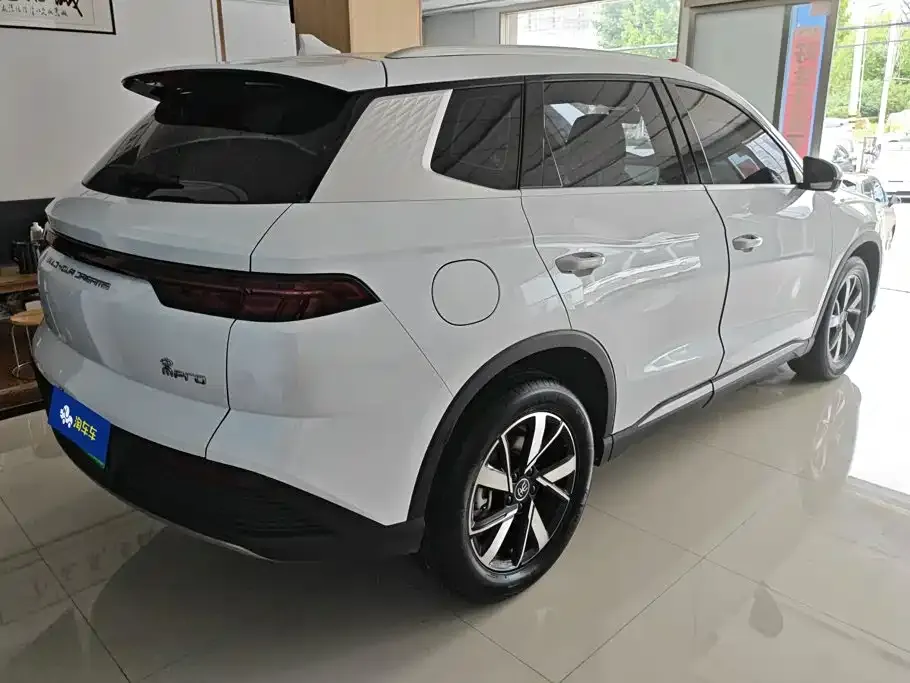 BYD Pro New Energy — фото 3