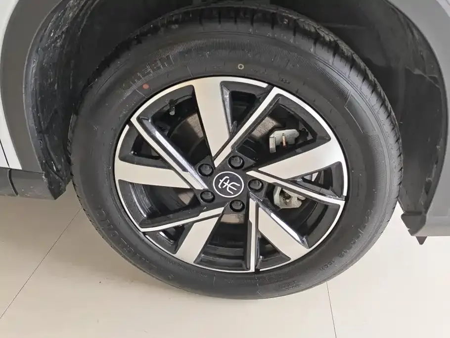 BYD Pro New Energy — фото 6