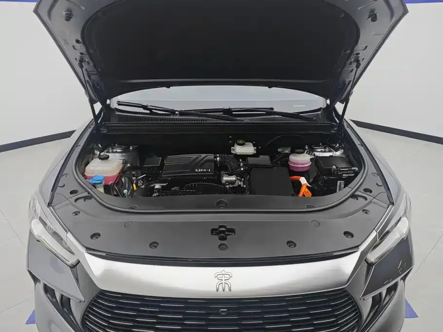 BYD Pro New Energy — фото 8