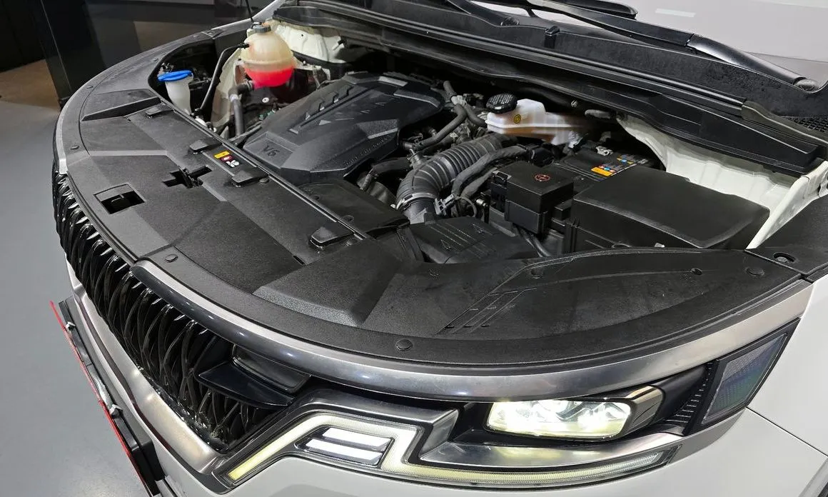 Kia Carnival — фото 10