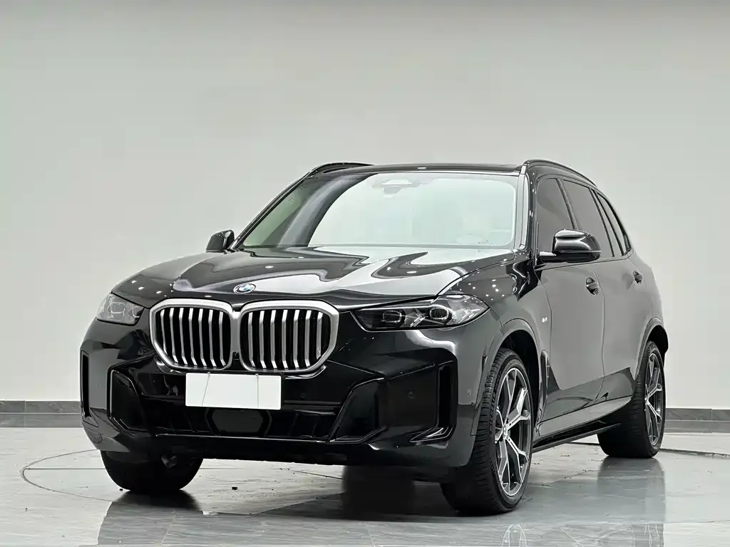 BMW X5 — фото 1