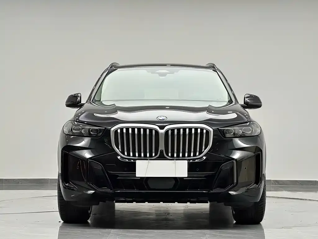 BMW X5 — фото 10