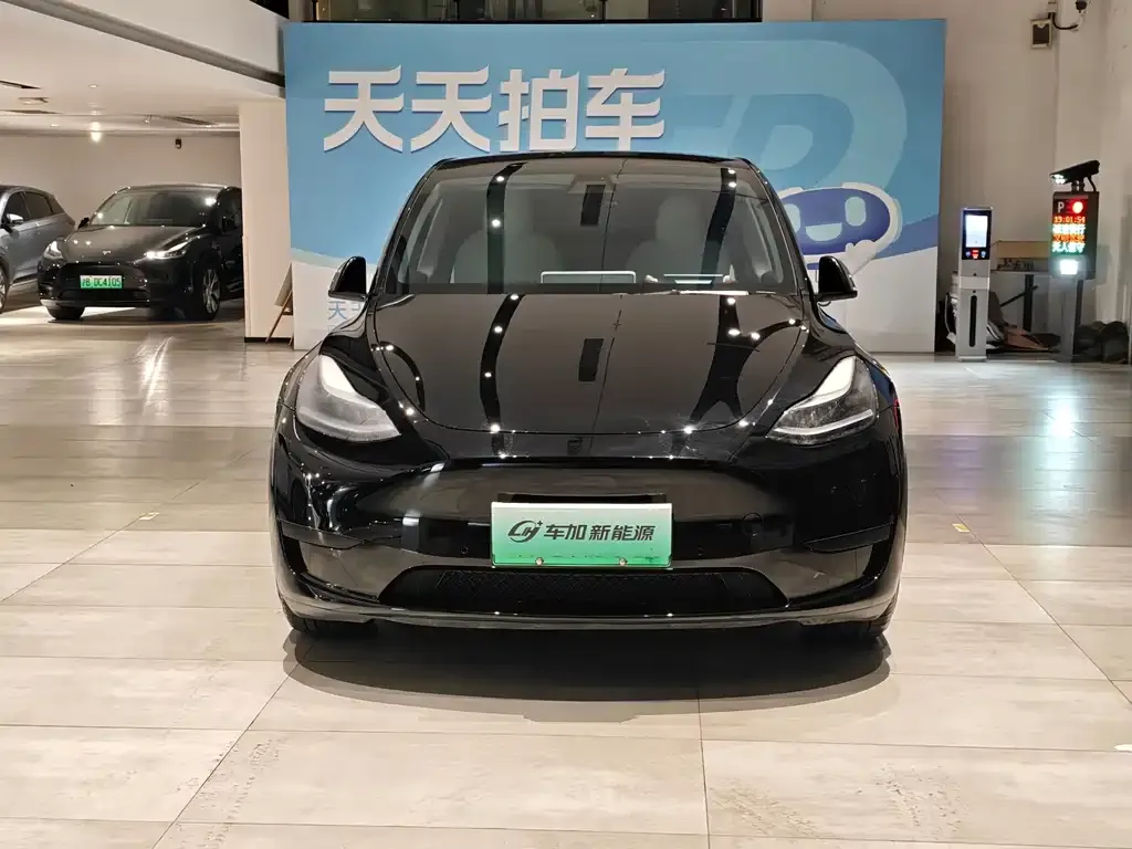 Tesla Model Y — фото 4