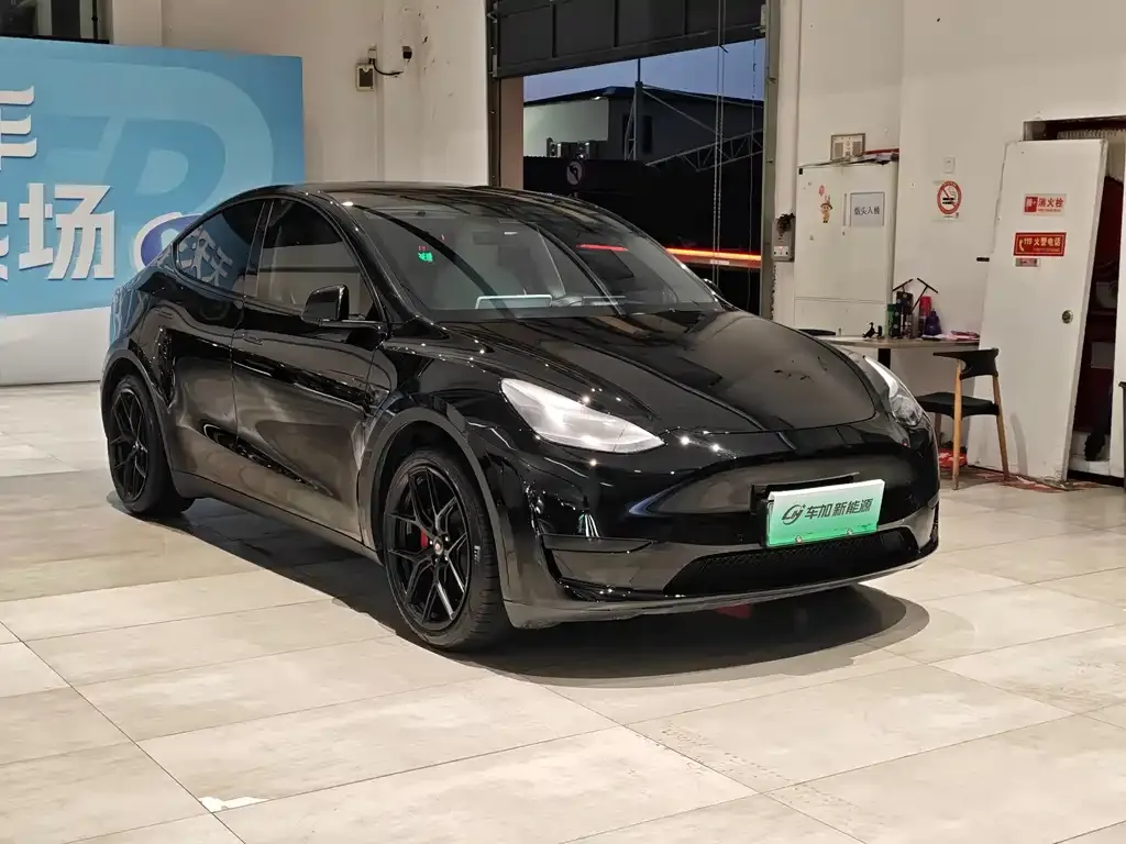Tesla Model Y — фото 2