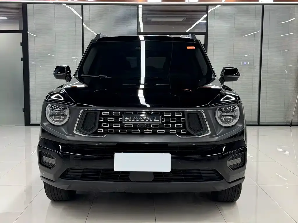 Haval H7 (Big Dog Plus) — фото 8