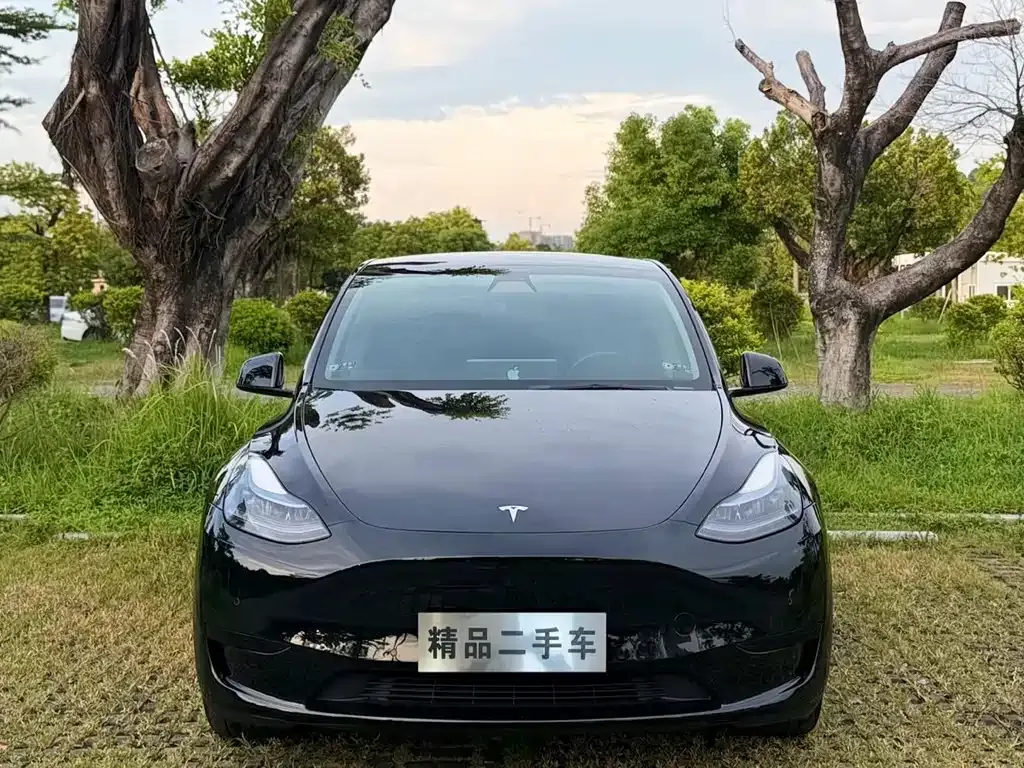 Tesla Model Y — фото 6
