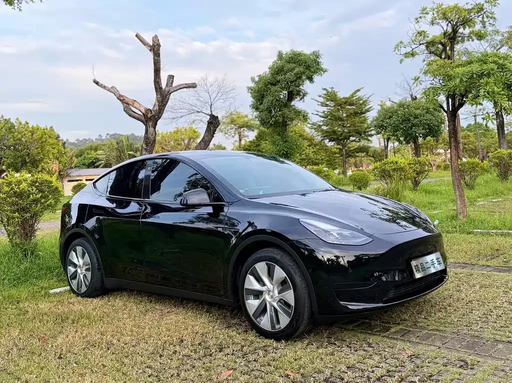 Tesla Model Y — фото 9
