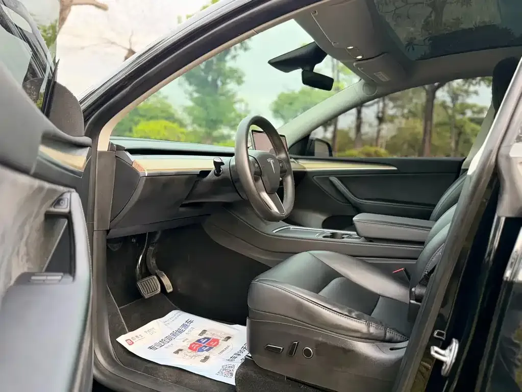 Tesla Model Y — фото 3