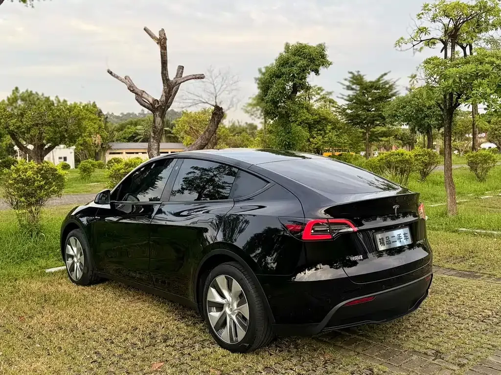 Tesla Model Y — фото 10