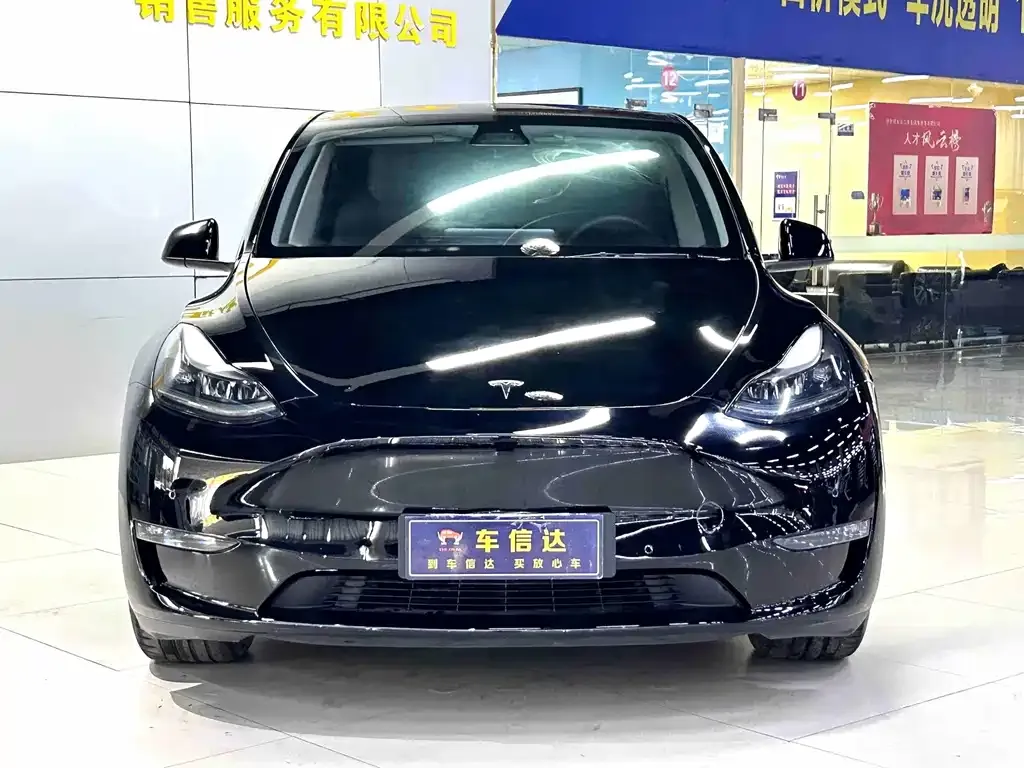 Tesla Model Y — фото 9