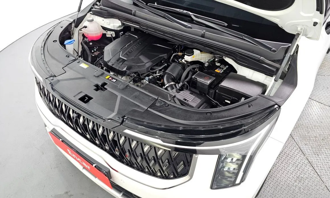 Kia Carnival — фото 10