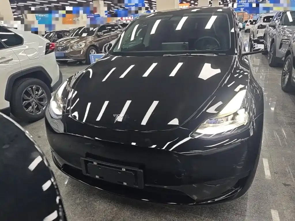 Tesla Model Y — фото 4