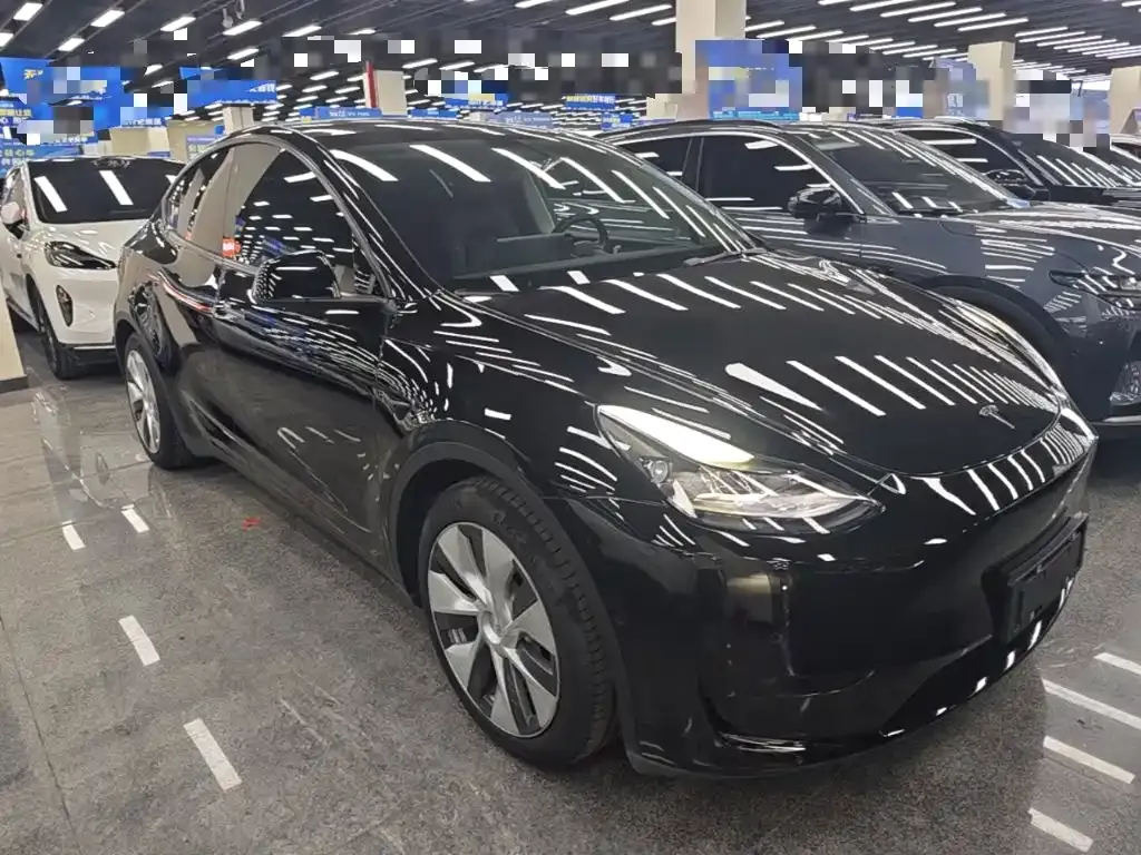 Tesla Model Y — фото 6