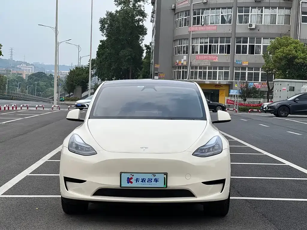 Tesla Model Y — фото 8