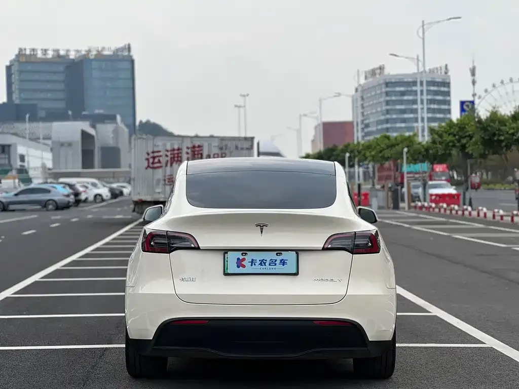 Tesla Model Y — фото 9