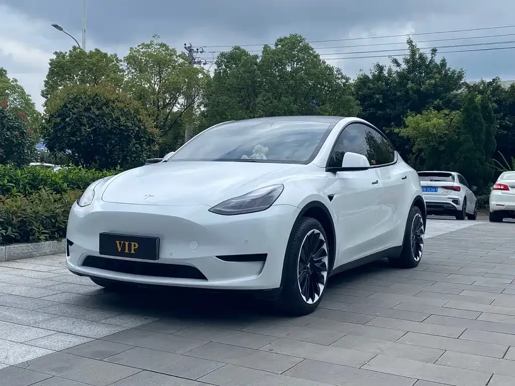 Tesla Model Y — фото 1