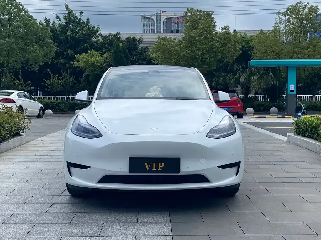 Tesla Model Y — фото 8